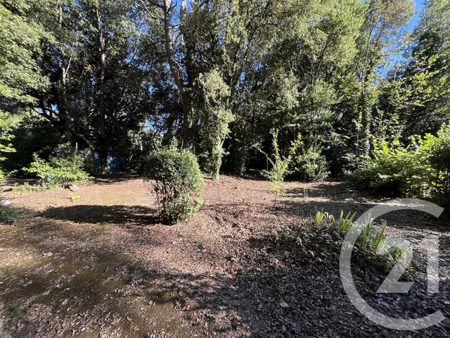 Terrain à vendre - 1500 m2 - Roquefort Les Pins - 06 - PROVENCE-ALPES-COTE-D-AZUR