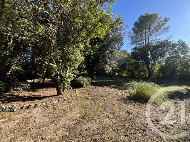 Terrain à vendre - 1500 m2 - Roquefort Les Pins - 06 - PROVENCE-ALPES-COTE-D-AZUR