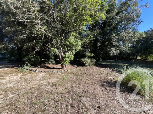 Terrain à vendre - 1500 m2 - Roquefort Les Pins - 06 - PROVENCE-ALPES-COTE-D-AZUR