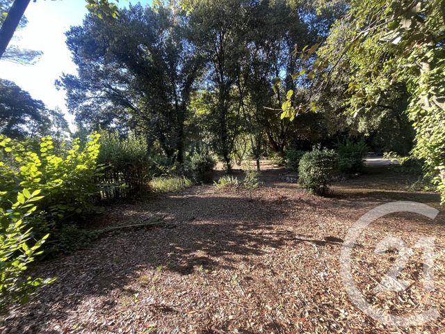 Terrain à vendre - 1500 m2 - Roquefort Les Pins - 06 - PROVENCE-ALPES-COTE-D-AZUR