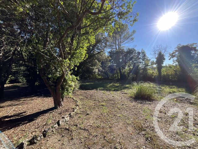 Terrain à vendre - 1500 m2 - Roquefort Les Pins - 06 - PROVENCE-ALPES-COTE-D-AZUR