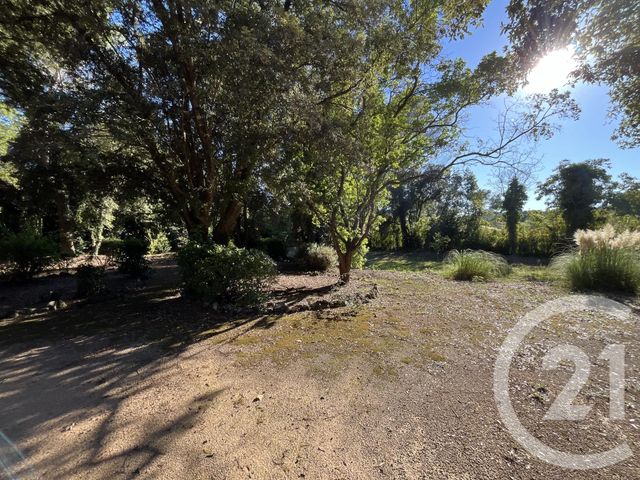 Terrain à vendre - 1500 m2 - Roquefort Les Pins - 06 - PROVENCE-ALPES-COTE-D-AZUR