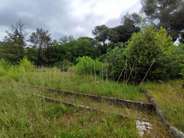 Maison à vendre - 10 pièces - 339,24 m2 - Roquefort Les Pins - 06 - PROVENCE-ALPES-COTE-D-AZUR